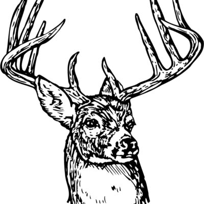 DEER006 Thumbnail